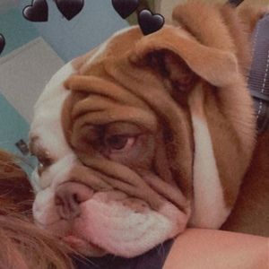 Meet your Posher, Isabel